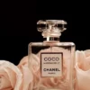 Chanel Coco Mademoiselle